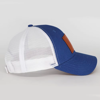 Blauwe Argyle Fruitkleurige Blok Baseball Cap Ademend Mesh Achterkant Trucker Pet met Kunstleren Patch Magische Sticker