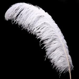 Centerpiece Decor White Large Ostrich Feather 40cm-80cm Ostrich Feathers For Festive Supply.