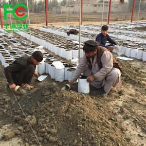 Panda bianco e nero sacchetto di pellicola fiore fioriera sacchetti di plastica per vivaio PE piantina alberello crescere borsa - Product Image 6