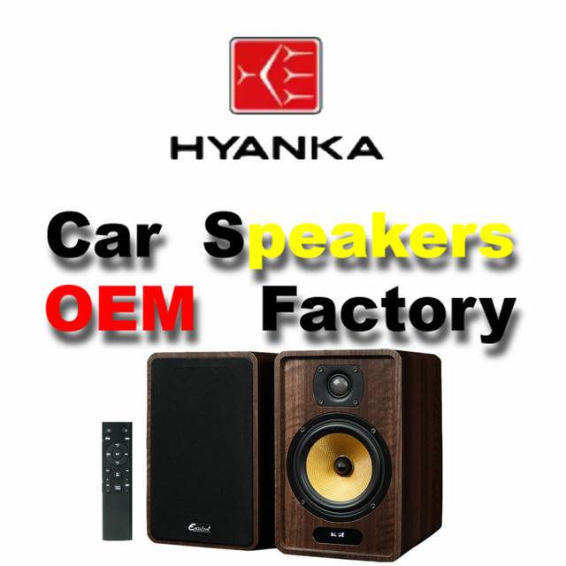 China Manufacturer Wooden HiFi Bookshelf Speaker 40W RMS 5.25 Midbass  USB Screen Fast Shipment in Stock