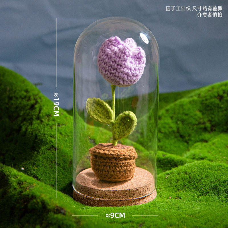 ทิวลิปสีม่วงสำเร็จรูป สูง 15 ซม