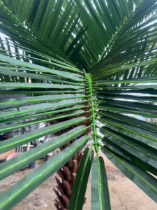 Palma Cycas Artificiale Personalizzata Eco-Friendly Impermeabile con 18 Foglie per Paesaggistica Commerciale Esterna, Matrimoni e Natale - Product Image 4
