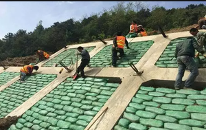 Bolsa de Cultivo Transpirable Ligera de Alta Resistencia a Precio Mayorista con Drenaje para Protección de Playas, Control de Inundaciones <span class=keywords><strong>en</strong></span> Ríos, Presas y Lagos - Product Image 4