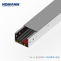 Goulotte de câblage en acier inoxydable SS304 passifé et trempé certifiée NEMA Hdmann pour la gestion des câbles électriques industriels