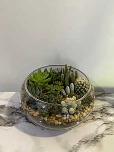 Terrarium en verre géométrique forêt bol ouvert <span class=keywords><strong>original</strong></span> Pentagone en or clair Vase à fleurs en verre - Product Image 2