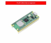 Carte de développement Raspberry Pi Pico, puce RP2040, double cœur, MicroPython