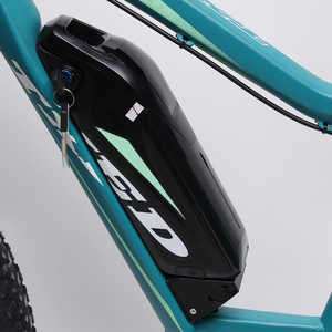 Vélo de montagne électrique à suspension intégrale TXED E Power Pro X8M Plus 27,5 pouces, 9 vitesses, moteur central sans balais 250W, cadre en alliage, freinage hydraulique - Product Image 4