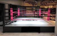 Équipement de boxe personnalisé Ring De Boxeo Ring De Lutte Professionnelle Vente Ring De Boxe