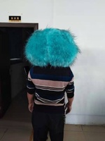 Costumes de mascotte d'animaux en fourrure personnalisés professionnels Blue Sky Factory, taille adulte, en peluche, unisexe, pour équipe sportive