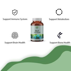 OEM/ODM Hot Selling Kelp with Iodine Supplement, Support Thyroid Health, Immune System & <b>Metabolism</b>, 250 Tablets - Product Image 3