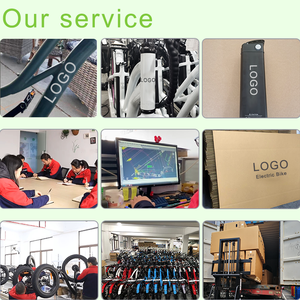 תלת אופן חשמלי קטן 20 אינץ' מהיר, אופניים חשמליים עם סוללה, אופניים חשמליים למשלוחי מזון, ממלאי המפעל - Product Image 6