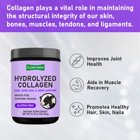 Poudre de Collagène Hydrolysé en Gros pour Usines avec Collagène Sodium Favorisant la Santé des Cheveux, de la Peau et des Ongles, Capsules et Poudre Sans Sucre