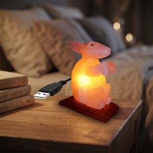 Lampe en sel rose de l'Himalaya 100% pur, de haute qualité, forme géométrique, mini lampe USB, technique de sculpture à la main, respectueuse de l'environnement, Feng Shui - Product Image 1