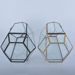 Maceta moderna para decoración interior del hogar, poligonal geométrico Terrario de vidrio, contenedor de latón para helecho suculento, planta de aire de Metal - Product Image 4