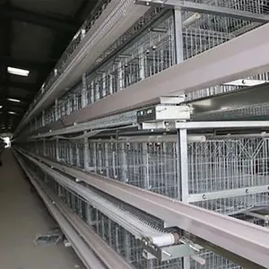 TBB otomatik tavuk kümes hayvanları ekipmanları tavuk yumurta tarım tavuk çiftlik ekipmanları fiyat