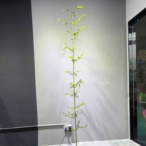 Meng Jie Artificial Bamboo <b>Tree</b> 200cm Above Plastic Indoor <b>Outdoor</b> Decorations Partition Screen Plant - Product Image 3