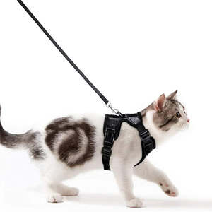 Elegante Arnés y Correa de Malla de Aire Suave y Colorida para Gato, Chaleco para Paseo de Mascotas - Product Image 5