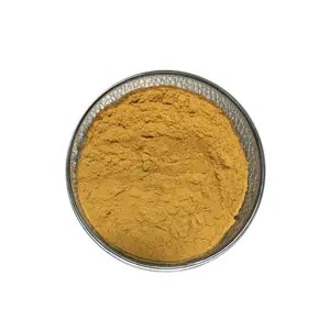 Rhodiola rosea pura estratto in polvere 10% salidroside CAS 10338-51-9 salidroside in polvere