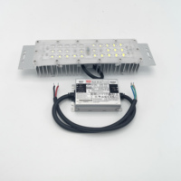 Modules LED 50W de remplacement pour éclairage public et composants de lampadaires, source lumineuse IP67, fournis directement par l'usine