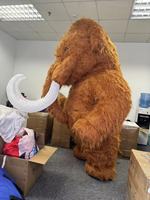 Costume gonflable de mamouth en peluche sur le thème des animaux, costume de mascotte d'éléphant gonflable pour adultes