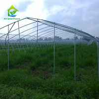 Kit de serre tunnel agricole automatique à simple travée de 300 m² en film PE pour tomates, sur mesure