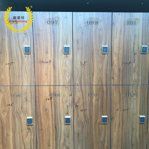 Armario de Almacenamiento Compacto Laminado Ecológico de Doble Puerta, Resistente a la Humedad y al Fuego, para Uso en Cocina, en el Centro Comercial Villa 2 Compact Lo - Product Image 2