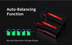 Batterie Sodium-Ion 12V 24V 36V 50Ah 100Ah 200Ah-40 ℃ Décharge Batterie de démarrage de voiture Traîneau au sodium pour véhicules Lithium-Ion - Product Image 6