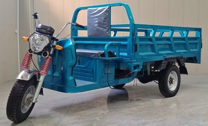 Tricycles TUKTUK E Trike <span class=keywords><strong>de</strong></span> 2 tonnes fabriqués en Chine, meilleur prix, véhicule <span class=keywords><strong>de</strong></span> transport <span class=keywords><strong>de</strong></span> marchandises - Product Image 3