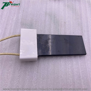 TR115 110V 400W Élément chauffant en nitrure de céramique haute température Allumeur en nitrure de silicium pour l'eau - Product Image 3