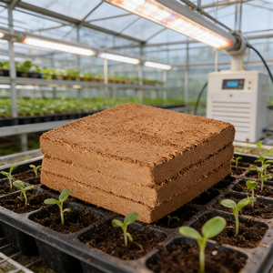 Brique de tourbe de coco de 10 cm, terreau nutritif pour jardinage domestique, haute mousse, faible teneur en sel, vente directe usine, universel - Product Image 2