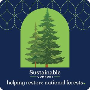 Tùy Chỉnh 18 Mega Cuộn Siêu Mềm Mạnh Mẽ Có Thể Tái Chế Giấy Vệ Sinh 5x Mạnh Mẽ Thường Xuyên 72 Cao Cấp Mềm Mô Làm Trinh Nữ Gỗ - Product Image 3