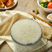 Alternative au riz sans glucides, riz de konjac shirataki biologique USDA de qualité supérieure, sans gluten, sec, adapté au régime paleo et keto, riz instantané