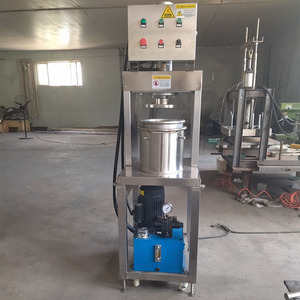 Ventes directes d'usine petite presse à enzymes commerciale petite presse à filtre de fermentation composite pomme banane fruits et légumes - Product Image 6
