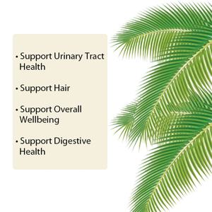 แคปซูลซาวพาลเมตโตออร์แกนิกขายดีแบบ OEM/ODM ช่วยเสริมสร้างสุขภาพทั่วไป ระบบย่อยอาหาร และสุขภาพทางเดินปัสสาวะ ขนาด 1000 มก. 60 แคปซูล - Product Image 3