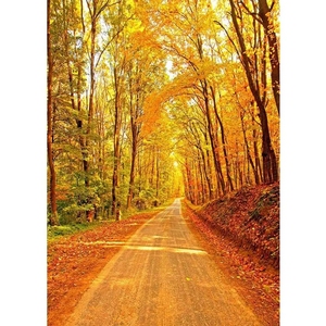 Hutan musim gugur fotografi latar belakang alam foto latar belakang Studio foto <span class=keywords><strong>Vinyl</strong></span> Photophone untuk boneka potret pemotretan - Product Image 1