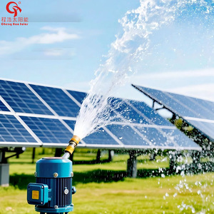 Cheng Hao <b>Solar</b> <b>Solar</b> Water <b>Pump</b> 48 V High Pressure Agricultural Irrigation System - Product Image 1