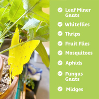 Piège à mouches en forme de fleur de papillon jaune pour abeilles, à brancher, écologique, anti-parasites, pièges collants, accessoires en plastique solide
