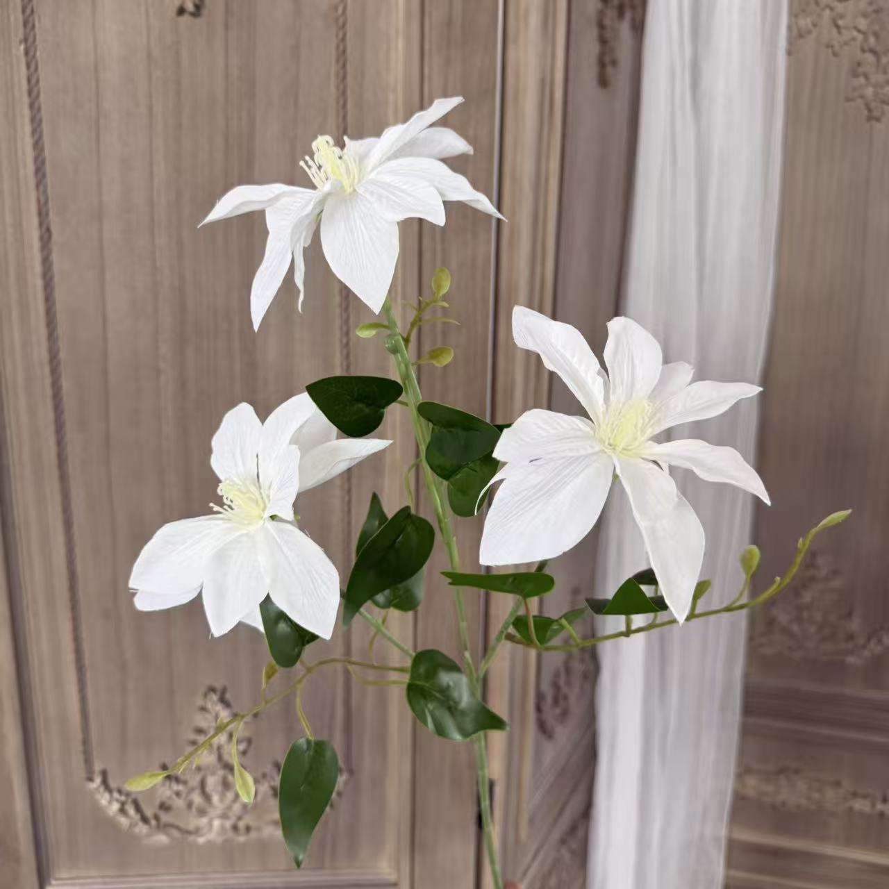 White three-headed clematis