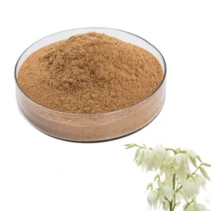 FST Biotec Wholesale Water Soluble Yucca Extract Powder