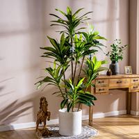 Plante de Dracaena naturelle à 2 tiges, arbre artificiel réaliste en soie, en pot dans un panier tressé, grand format, pour décoration intérieure style bohème, vente en gros