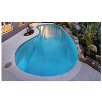 Piscine extérieure en fibre de verre pour le jardin