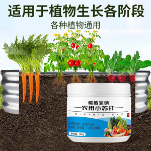 Bicarbonate de soude agricole en poudre 300g pour la culture des légumes, le contrôle des parasites et la protection des cultures - Product Image 3