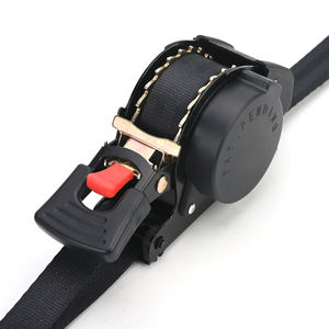 1 "3M Zelfintrekkende Polyester Auto Intrekbare Ratel Vastbinden Riem Voor Vrachtcontrole - Product Image 2