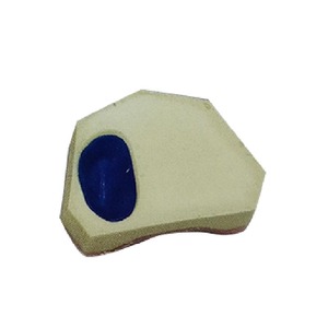 Zahnmedizinisches Anatomisches Modell für Sofortige Implantationspraxis in der Medizinischen Wissenschaft <span class=keywords><strong>UMG</strong></span> UM-2044 - Product Image 6