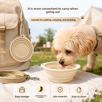 Nouvelle gamelle pliable en silicone de qualité alimentaire pour chat et chien, portable, pour les voyages en extérieur