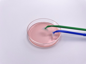Raspador de Células Estéril de Plástico, Precio de Fábrica para Laboratorios, Levantador de Células Envasado Individualmente para Cultivo de Tejidos en Laboratorio - Product Image 3