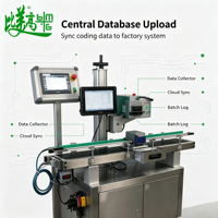 Machine de marquage laser standard GS1 pour les boîtes de lait en poudre, avec vérification visuelle du code et séparation automatique des produits non conformes