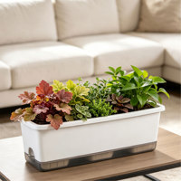 Jardinière rectangulaire pour fenêtre avec trous de drainage et plateaux, pots pour légumes, herbes, fleurs, jardin, rebord de fenêtre, balcon