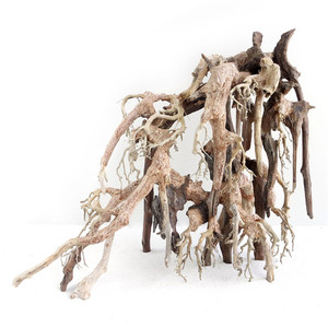 Cây cảnh <span class=keywords><strong>bonsai</strong></span> gỗ lũa trong bể cá lớn - Product Image 5