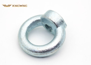 Mạ kẽm nữ nâng DIN 582 mắt hạt thép carbon cho ứng dụng khai thác mỏ - Product Image 3